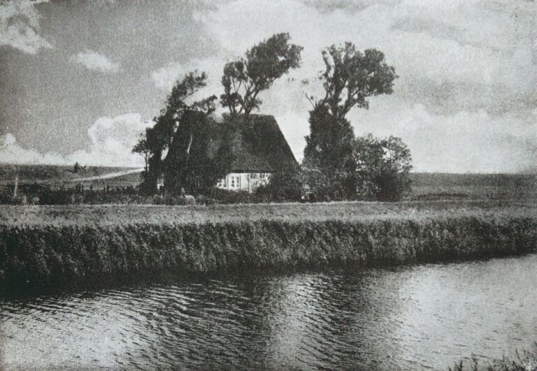 Motiv von der Unterelbe