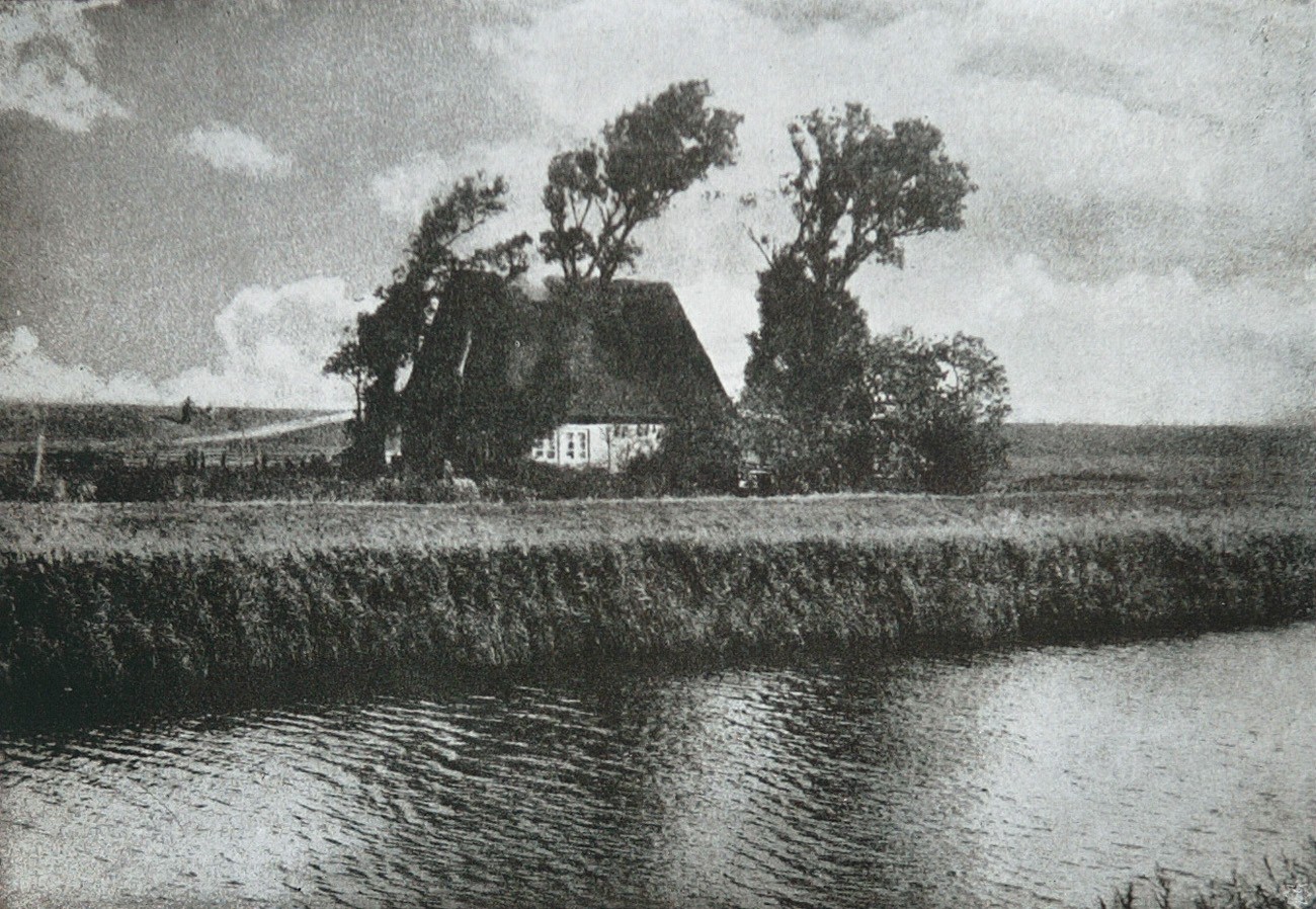 Motiv von der Unterelbe