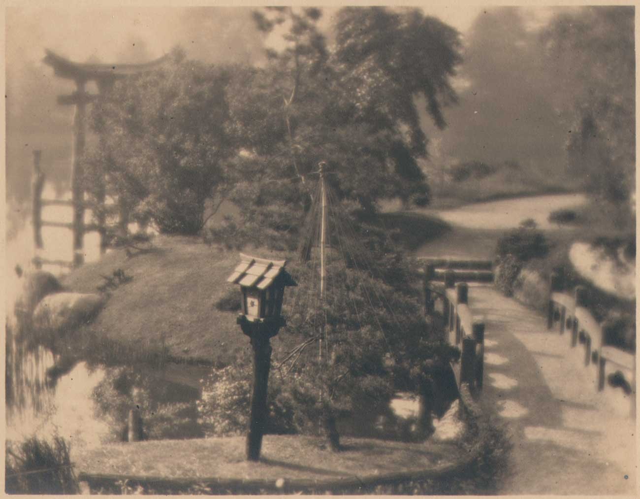 Japanese Hill-and-Pond Garden Scenic