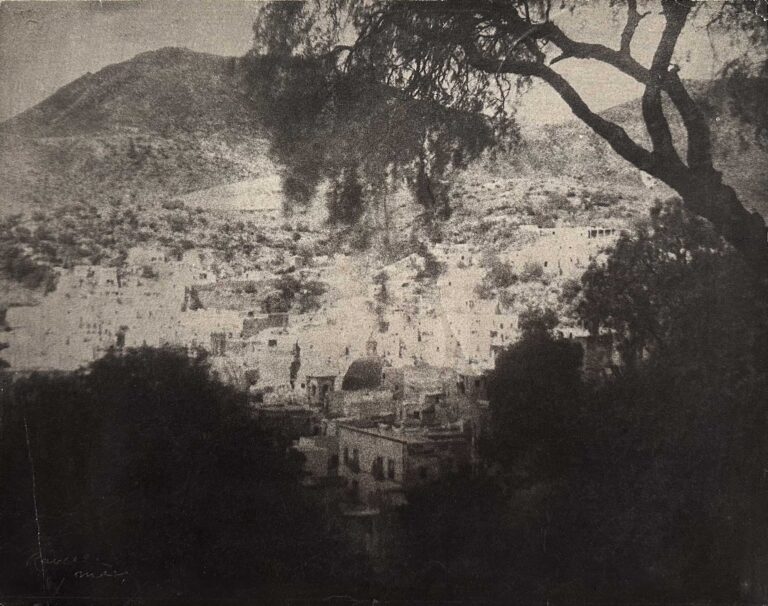 A Bit of Guanajuato and the Pepper Tree-Variant